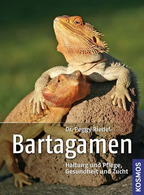 Bartagamen