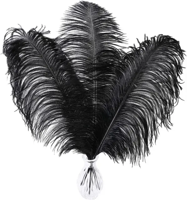 Larryhot Black Ostrich Feathers Bulk - 16-18 Inch 10Pcs Feathers for Vase,Weddin