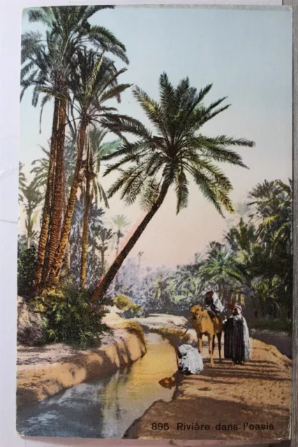 French North Africa Riviere Dans Oasis Arab Postcard Old Vintage Card View Post
