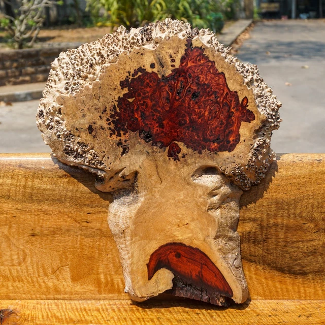 ¡Raro!! AMBYNA BURL MADERA borde vivo hágalo usted mismo losa natural resina epoxi mesa madera