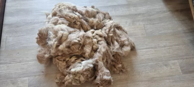 Rockleigh Alpacas - Alpaca Fleece - Fawn - Rhiannon - 700g