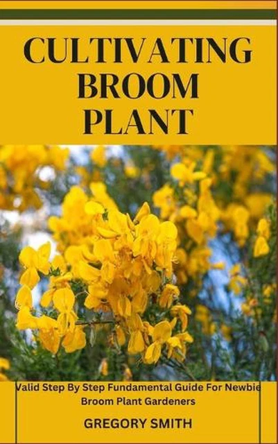 CULTIVATING BROOM PLANT: Valid Step By Step Fundamental Guide For ...
