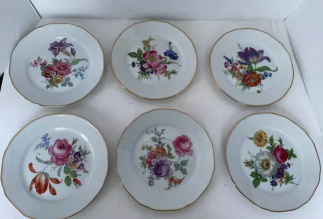 Set of 6 Bareuther Waldsassen Bavaria Germany Floral Plates Gold Rim Flower 8"