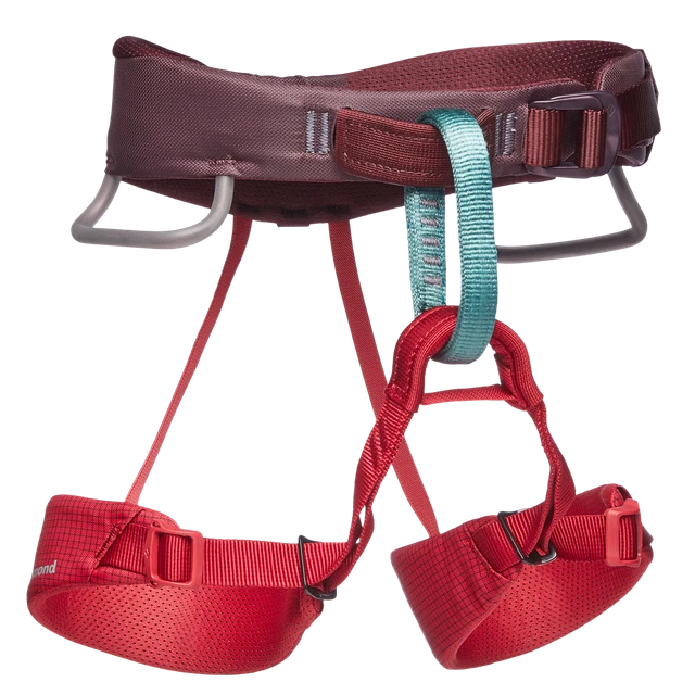 Black Diamond Momentum Kid's Climbing Harness | Wild Rose
