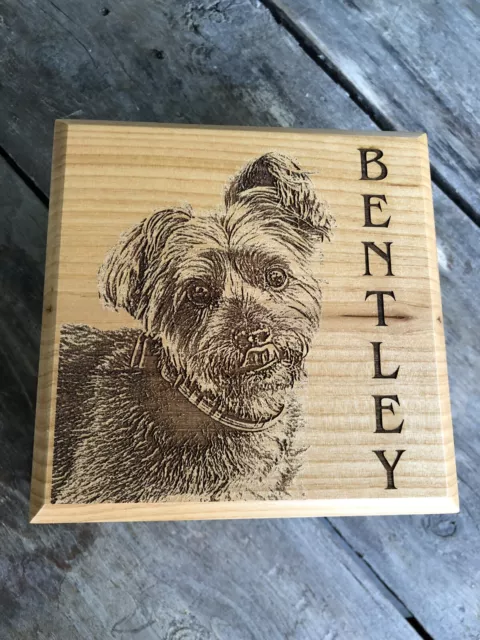 Personalized Pet Urn (medium 50lbs Or Less)