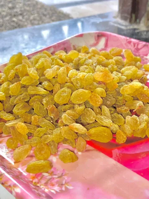 100% PURE & Organic Raisins Kishmish – Seedless – Dried Grapes - 50 Gm ...