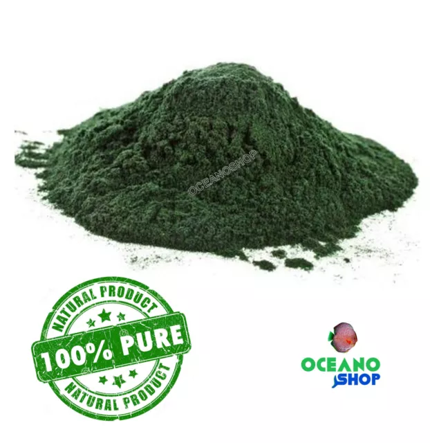 Espirulina 10Gr En Polvo 100% Pura A Granel Peces Gambas Caridinas Acuario