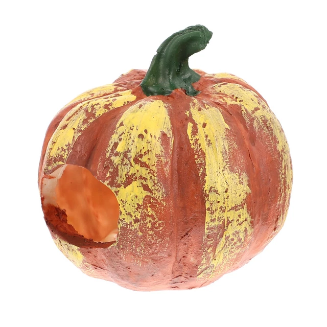 Cachette Pour Crevettes | Grotte De Reproduction Pour