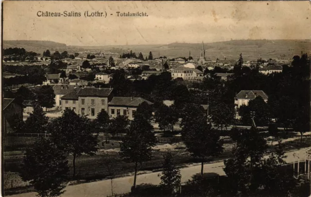CPA AK CHATEAU-SALINS - Totalansicht - Vue générale (387876)