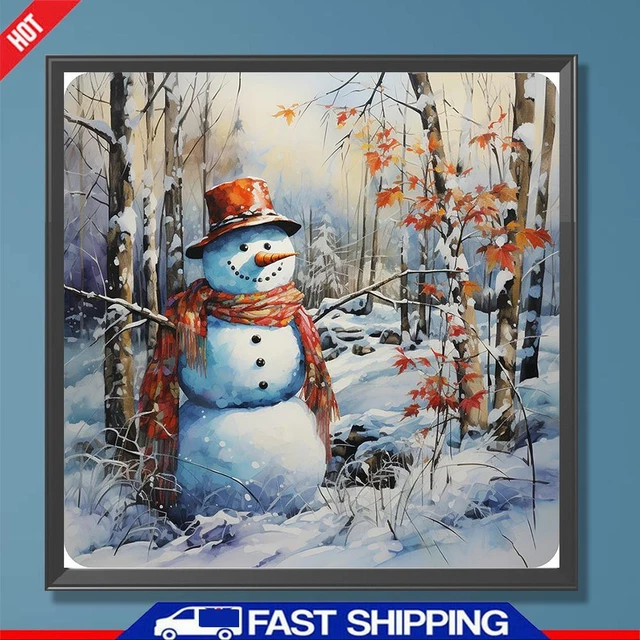 Paint By Numbers Kit DIY Oil Art Snowy Land Picture Home Wall Decor 40x40cm ?