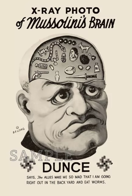 1940s WWII Italy Mussolini 's brain American cartoon propaganda postcard [P92]
