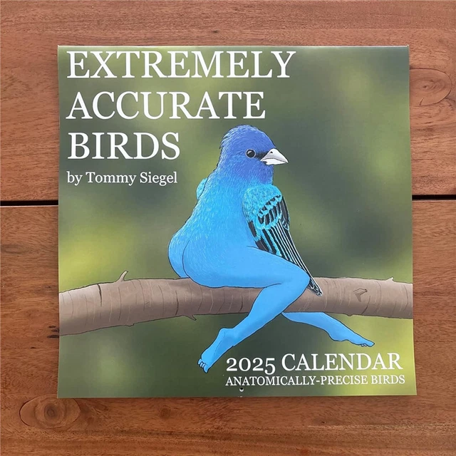 2025 CALENDAR OF Extremely Accurate Birds by Tommy Siegel ยฃ6.97