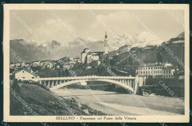 Belluno città Ponte della Vittoria cartolina VK4186