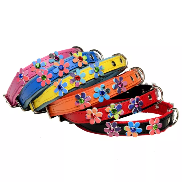 Véritable Souple Cuir Chien Chiot Collier Marguerite Fleurs Cristal Multicolore