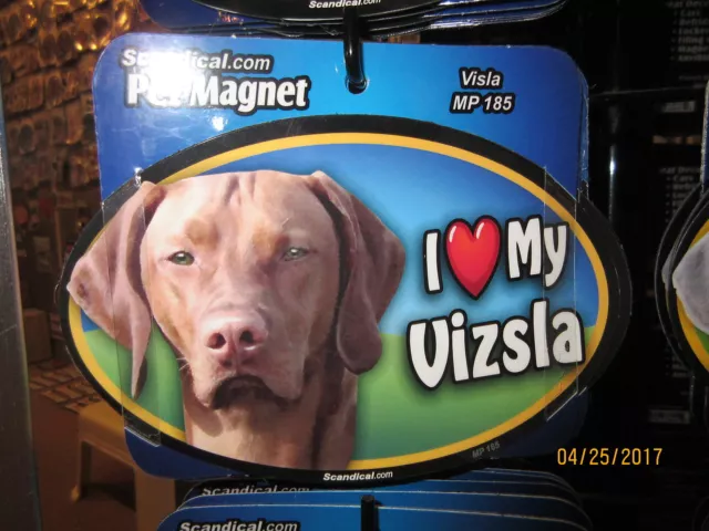 I Love My Vizsla 6 inch oval magnet for car or anything metal  New