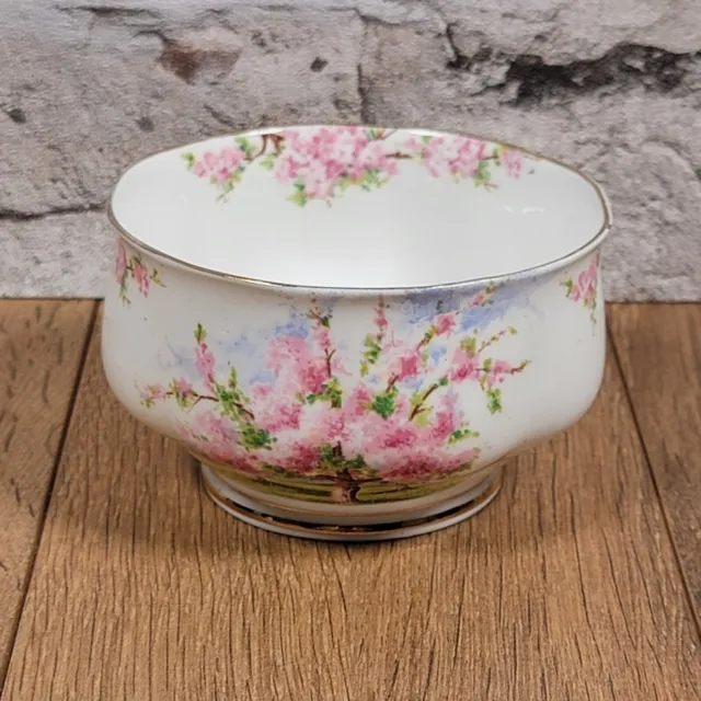 Royal Albert Blossom Time Sugar Bowl