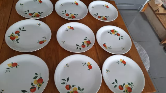 Vintage ALFRED MEAKIN Glo-White 'Oranges and Lemons' RARE 1970s 9" Dinner Plates