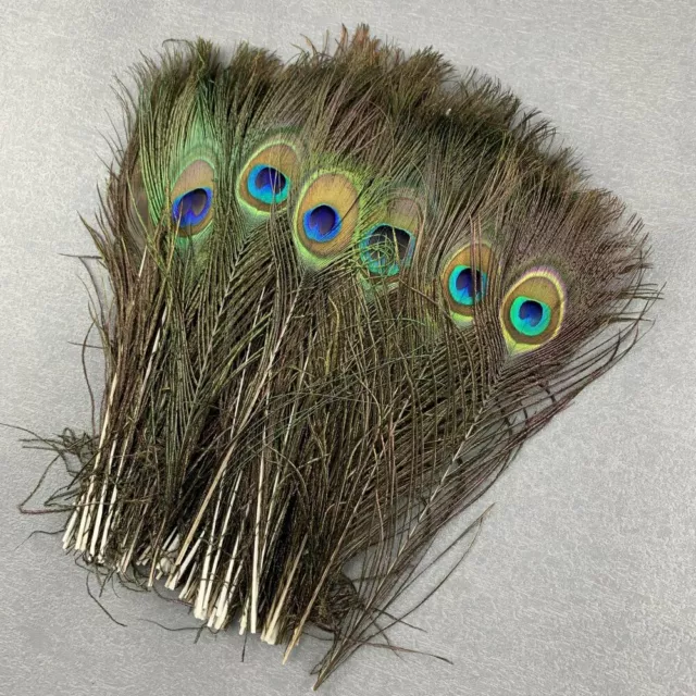 10/50/100Pcs Natural Peacock Tail Eyes Feathers Wedding Home Room Decor  25-30cm