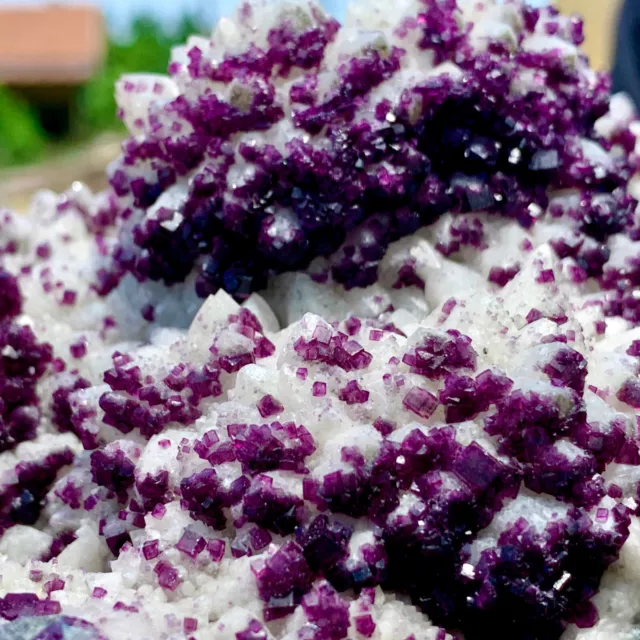8.47LB WhiteSprouting Quartz Cluster +purpie cubic fluorite From InnerMongolia