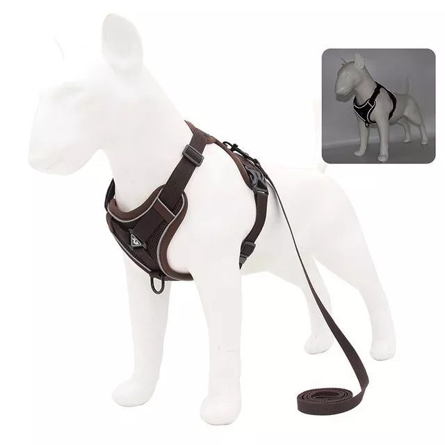 Harnais  avec  laisse de  1,5 m  pour chien et chat, marron, taille S