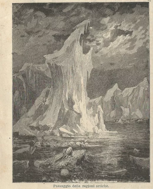 Stampa antica ARTICO paesaggio ghiacciato Polo Nord 1896 Old Antique Print