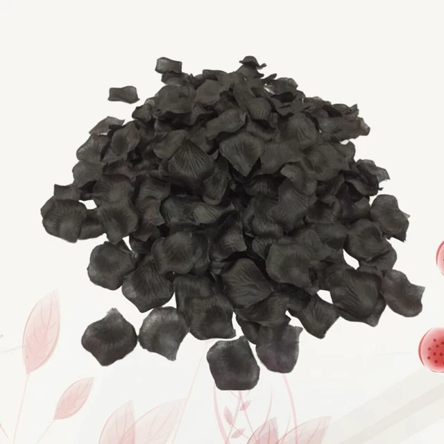 Pétales De Roses Ivoire - Fiesta Republic