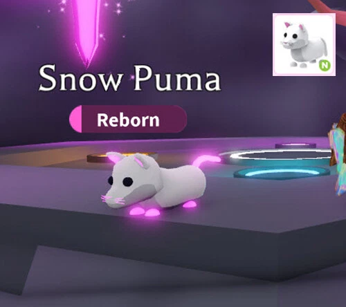 Puma for deals sale pet