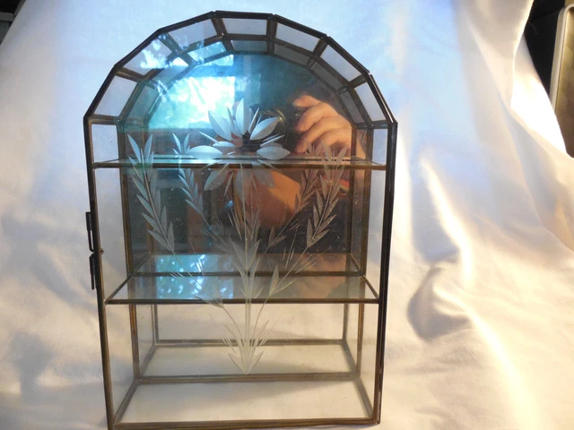 Glass & brass, mirrored back display case 10"