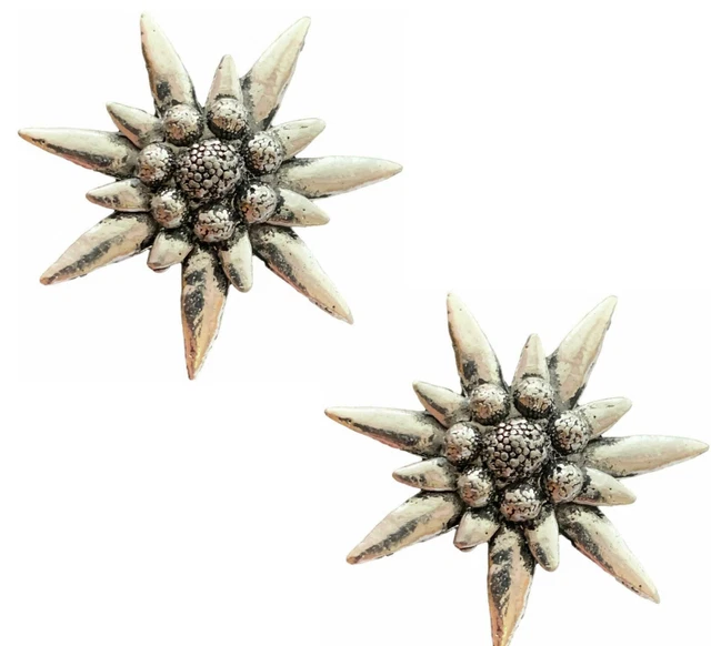 2 Extra Grande Edelweiss Hecho a Mano De Peltre Inglés Pin Insignia TSB-C1