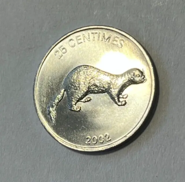 2002 Congo D.R. 25 centimes Coin African Striped Weasel Lion Cat