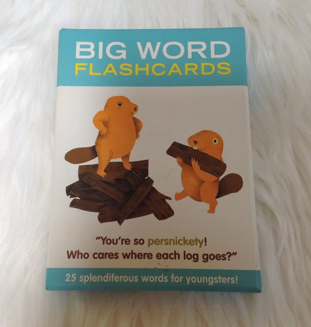 BIG WORD FLASHCARDS by Knock Knock 25 cards, New Sealed Language