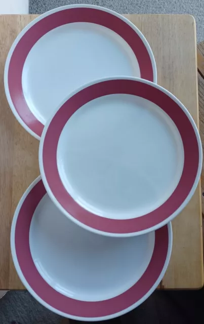 Vintage Rose Sundance Corelle Corning Dinnerware Set 3 Dinner 10" Plates Replace