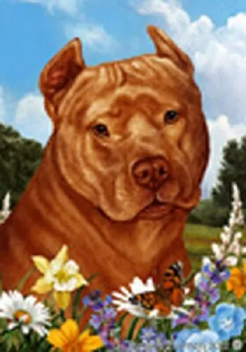 Summer Garden Flag - Orange American Pit Bull Terrier 184061
