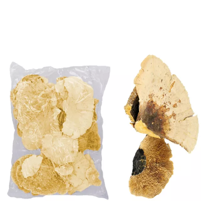 Baumschwamm - 1 kg - natur