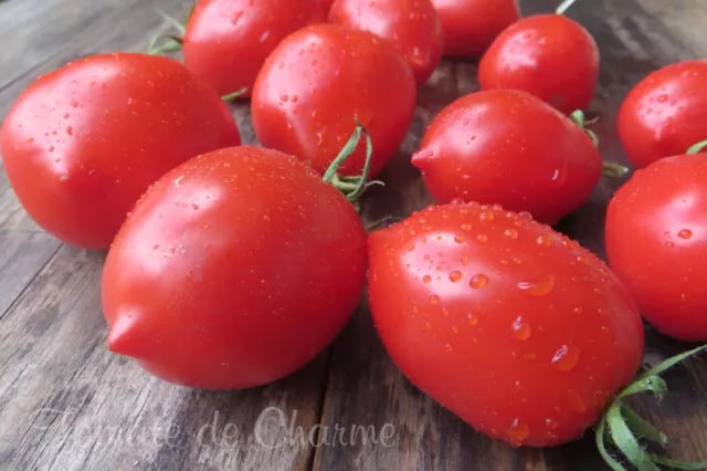Graines de tomate cerise Datterino - Datterini - Prix €1.95