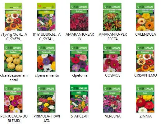 Lote pack de 10 sobres de semillas DE FLORES DIFERENTES