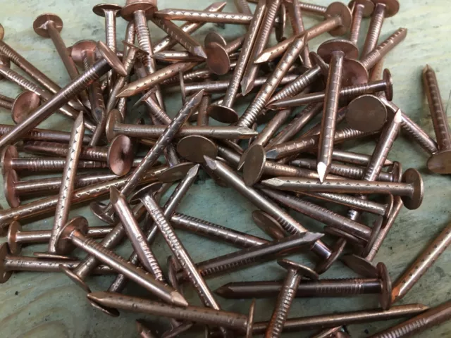 250g pack of assorted Solid Copper large head clout nails roofing stump killer