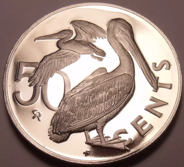 Cameo Proof British Virgin Island 1973 50 Cents~1st Year~Brown Pelican~Free Ship