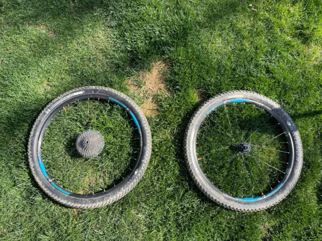 Bontrager duster elite tubeless sales