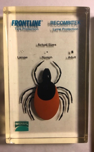 Giant Fake Tick Encased in Lucite or Plastic. Veterinarian Advertising Prop or