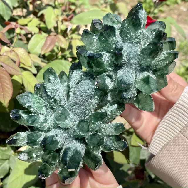 1.79LB New Find Green Phantom Quartz Crystal Cluster Mineral Specimen Healing