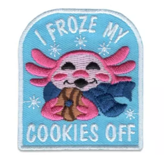 Girl I FROZE MY COOKIES OFF booth sales Fun Patches Badge SCOUTS GUIDE outside