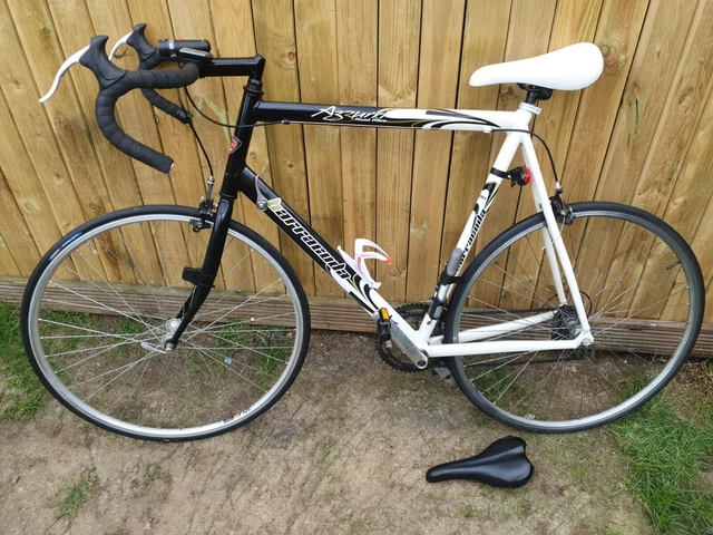 Barracuda azzurri online road bike