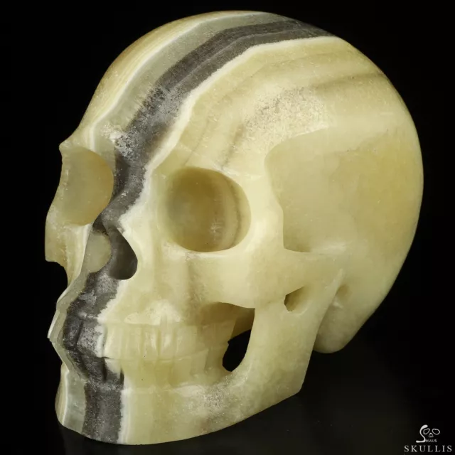 5.0" Zebra Calcite Hand Carved Crystal Skull, Realistic, Crystal Healing 5.0" Zebra Calcite Hand Carved Crystal Skull, Realistic, Crystal Healing