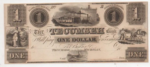Mid 19th Century Banknote from the Tecumseh Bank of Tecumseh Michigan 9 +