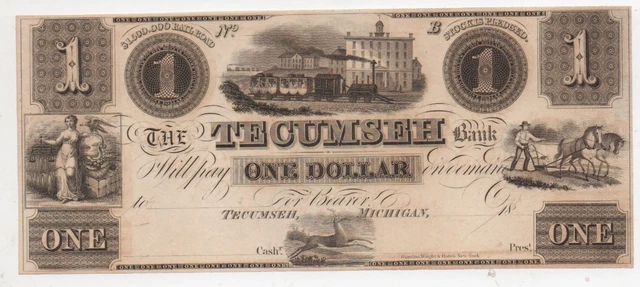 Mid 19th Century Banknote from the Tecumseh Bank of Tecumseh Michigan 9 +