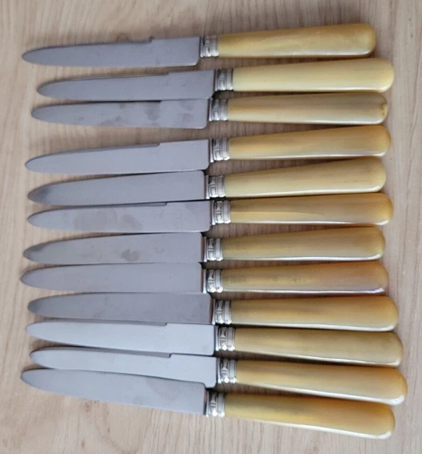 12 Couteaux à Entremet Inusor – Manche Corne Naturelle Et Lame Inox