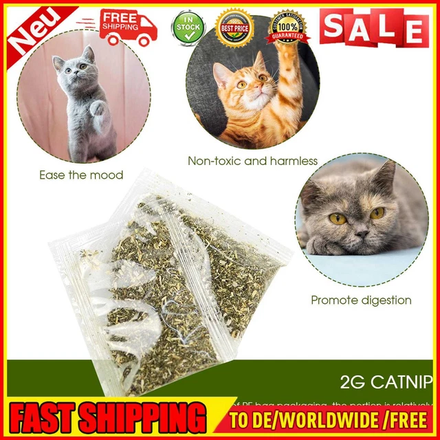 2g Borsa per erba gatta per gatti, Pacchetto Borsa in PE, Erba di ricambio erba gatta per giocattoli menta gatta