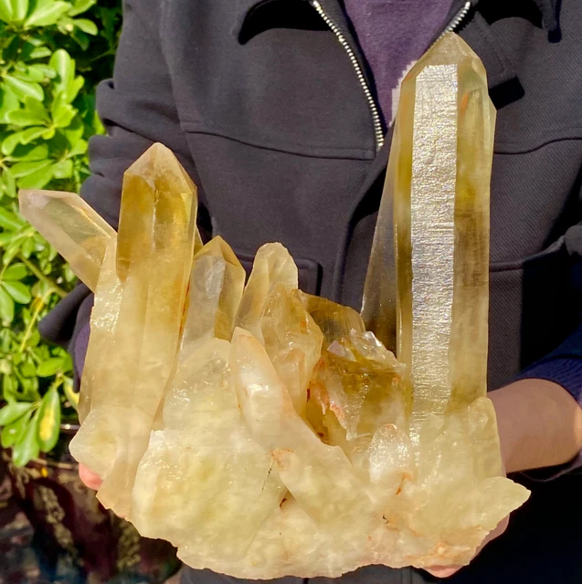 7.33LB Large Natural Citrine cluster mineral specimen quartz crystal healing .