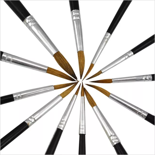Pack of 12 Artist Pointed Paint Brushes Set Small & Large Sizes Thin & Thick
